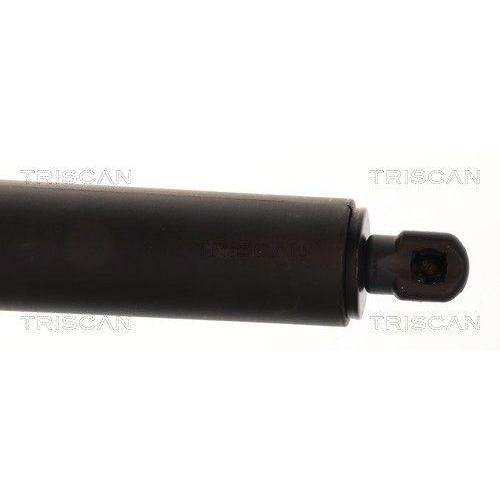 TRISCAN Gasfeder, Koffer-/Laderaum 8710 24305