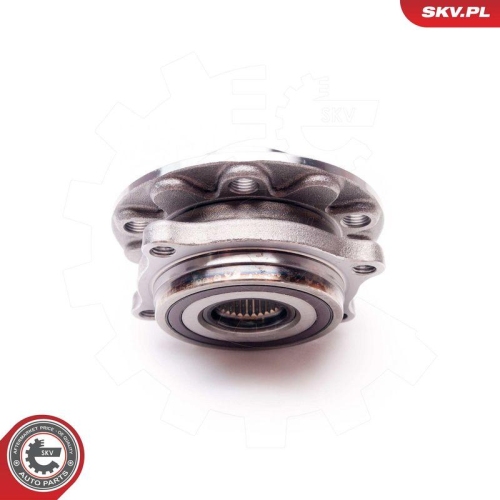 ESEN SKV Radlagersatz 29SKV143