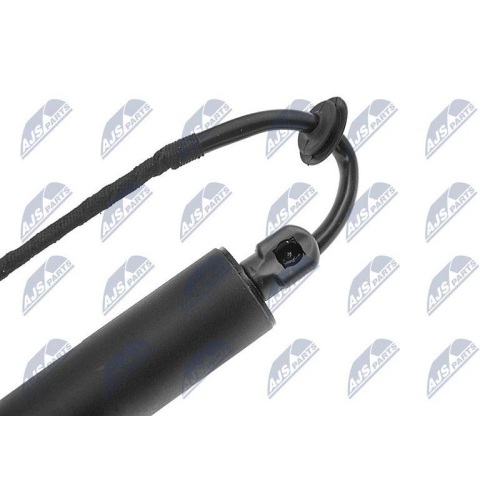 NTY Elektromotor, Heckklappe AE-PS-003