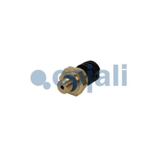 COJALI Sensor, &Ouml;ldruck 2262032