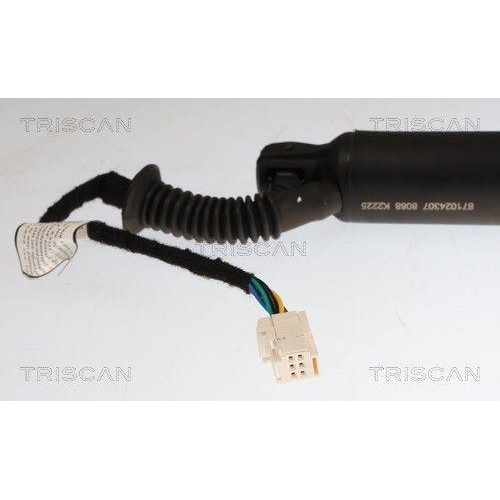 TRISCAN Gasfeder, Koffer-/Laderaum 8710 24307