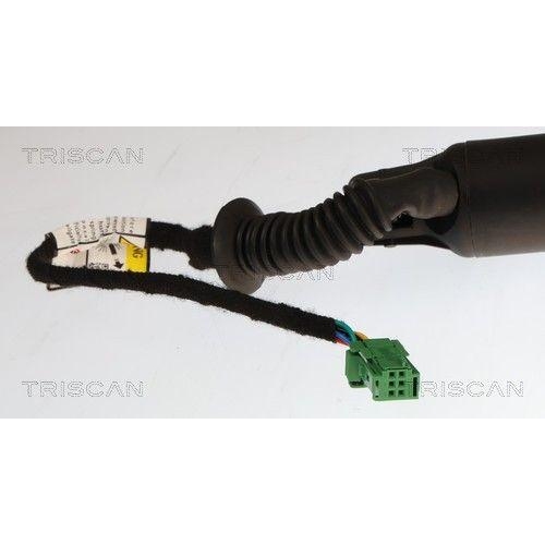 TRISCAN Gasfeder, Koffer-/Laderaum 8710 24308