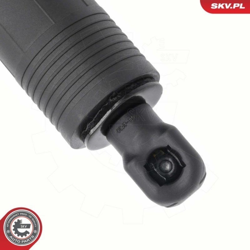 ESEN SKV Elektromotor, Heckklappe 52SKV973