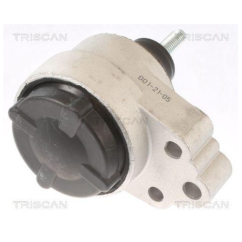 TRISCAN Lagerung, Motor 8505 16120
