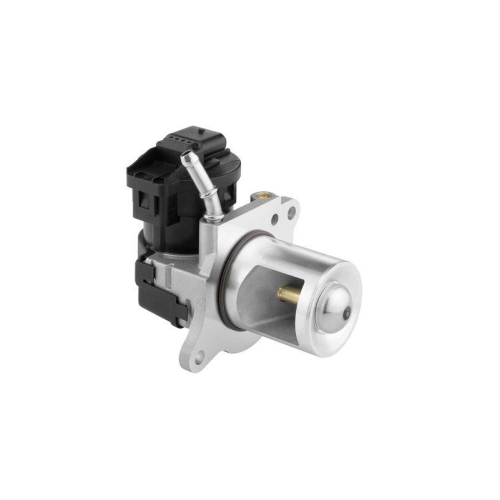 BorgWarner AGR-Ventil 710095D/1