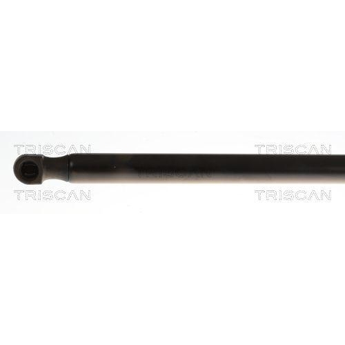 TRISCAN Gasfeder, Koffer-/Laderaum 8710 25285