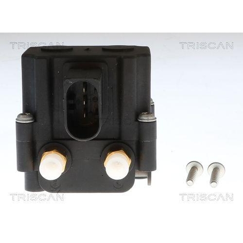 TRISCAN Kompressor, Druckluftanlage