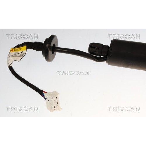 TRISCAN Gasfeder, Koffer-/Laderaum 8710 25303