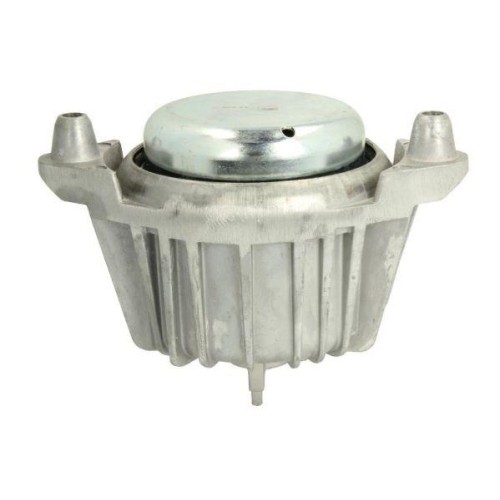 REINHOCH Lagerung, Motor RH11-3034