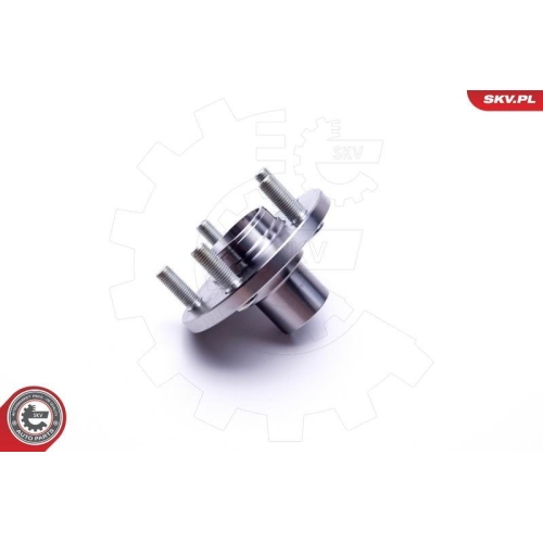 ESEN SKV Radlagersatz