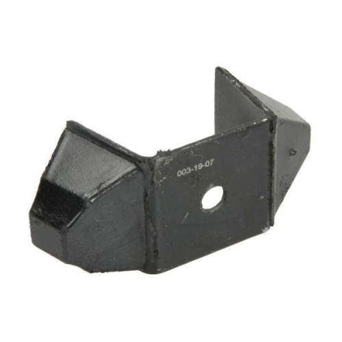 REINHOCH Lagerung, Motor RH11-2022