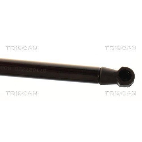 TRISCAN Gasfeder, Koffer-/Laderaum 8710 27228