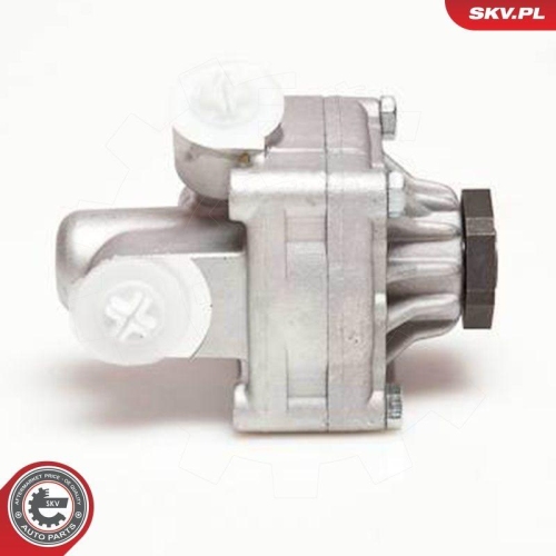 ESEN SKV Hydraulikpumpe, Lenkung 10SKV017