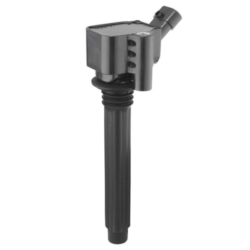 BorgWarner (BERU) Z&uuml;ndspule ZS619