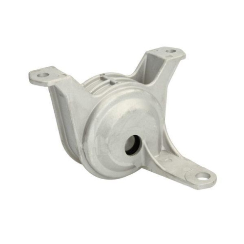 REINHOCH Lagerung, Motor RH11-5013