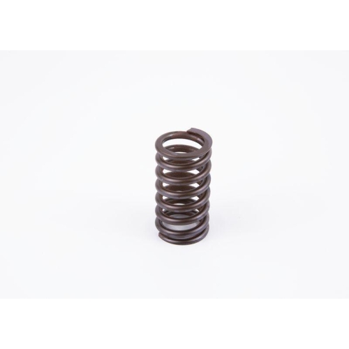 BOSCH Feder 2 434 614 017