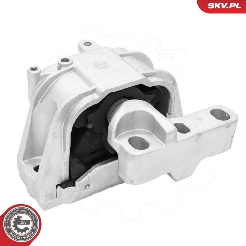 ESEN SKV Lagerung, Motor 75SKV253