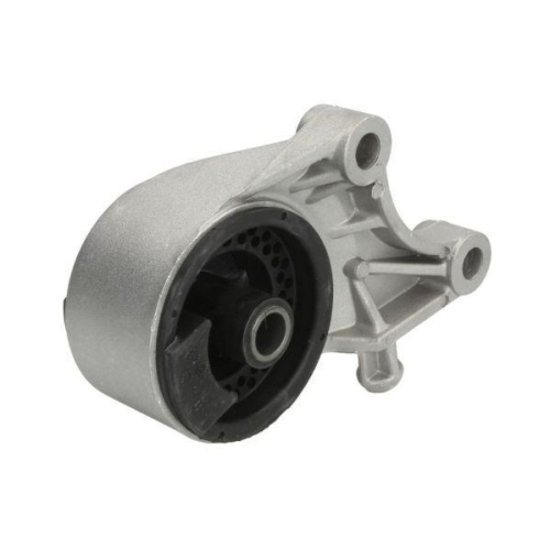 REINHOCH Lagerung, Motor RH11-5022