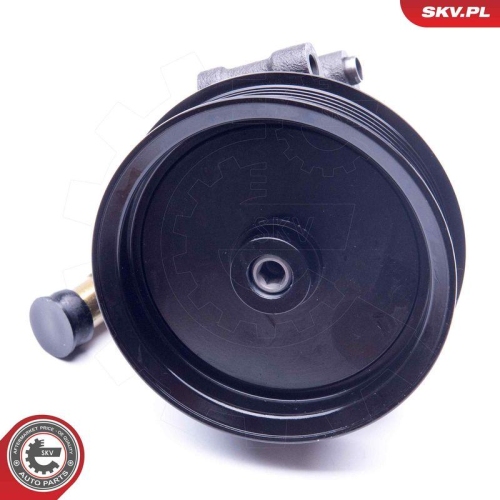 ESEN SKV Hydraulikpumpe, Lenkung 10SKV101