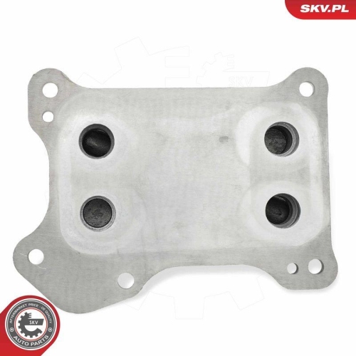 ESEN SKV &Ouml;lk&uuml;hler, Motor&ouml;l 31SKV309