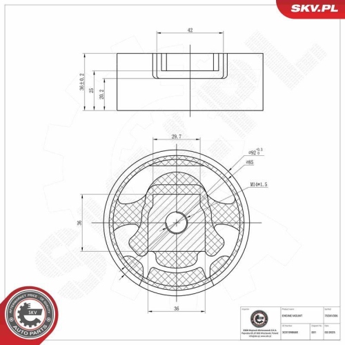 ESEN SKV Lagerung, Motor 75SKV306