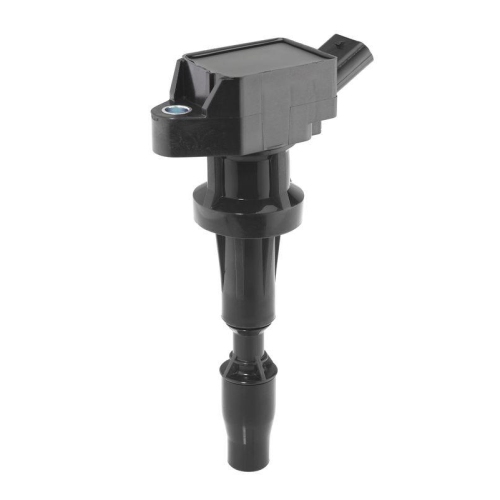 BorgWarner (BERU) Z&uuml;ndspule ZSE262