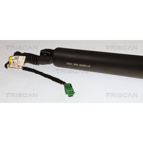 TRISCAN Gasfeder, Koffer-/Laderaum 8710 28306