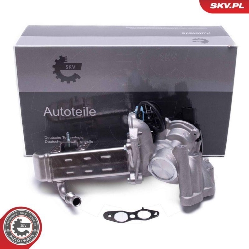 ESEN SKV AGR-Ventil 14SKV238