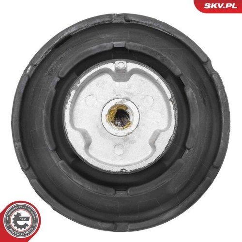 ESEN SKV Lagerung, Motor 75SKV002