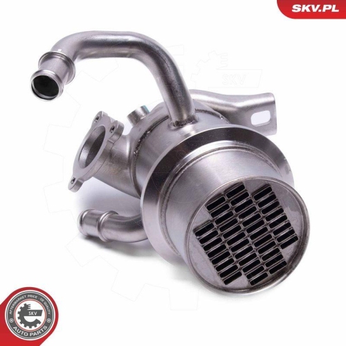 ESEN SKV AGR-Ventil 14SKV243