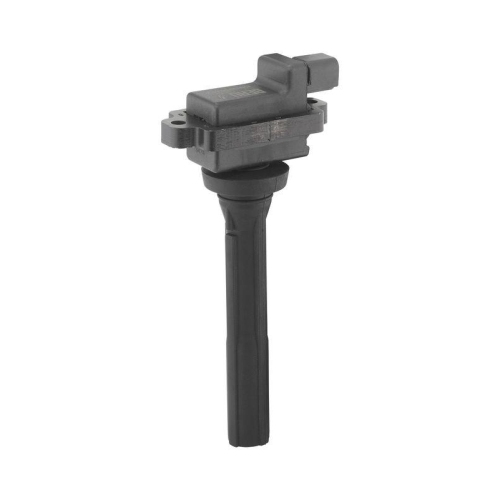 BorgWarner (BERU) Z&uuml;ndspule ZS615