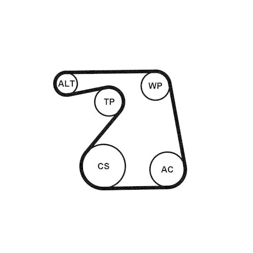 CONTINENTAL CTAM Keilrippenriemensatz 6PK1360K1