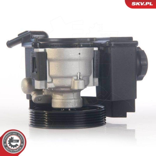 ESEN SKV Hydraulikpumpe, Lenkung 10SKV171