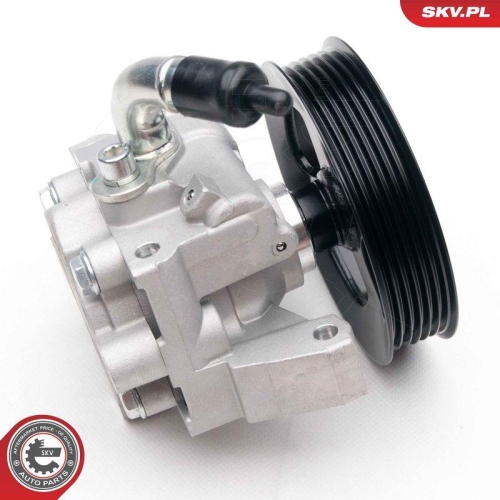 ESEN SKV Hydraulikpumpe, Lenkung 10SKV188