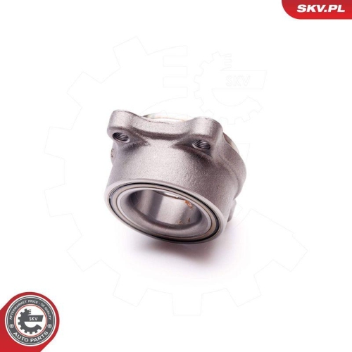 ESEN SKV Radlagersatz 29SKV156