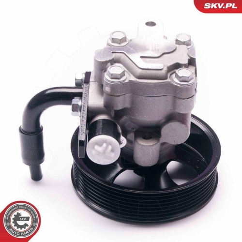 ESEN SKV Hydraulikpumpe, Lenkung 10SKV201