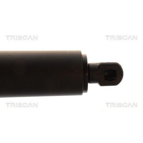 TRISCAN Gasfeder, Koffer-/Laderaum 8710 292089
