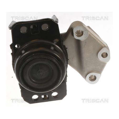 TRISCAN Lagerung, Motor 8505 28100