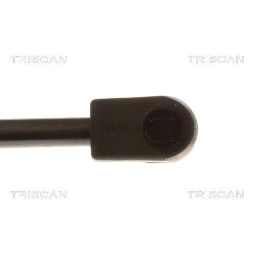TRISCAN Gasfeder, Koffer-/Laderaum 8710 292091