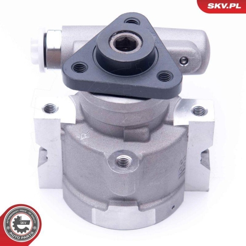 ESEN SKV Hydraulikpumpe, Lenkung 10SKV258