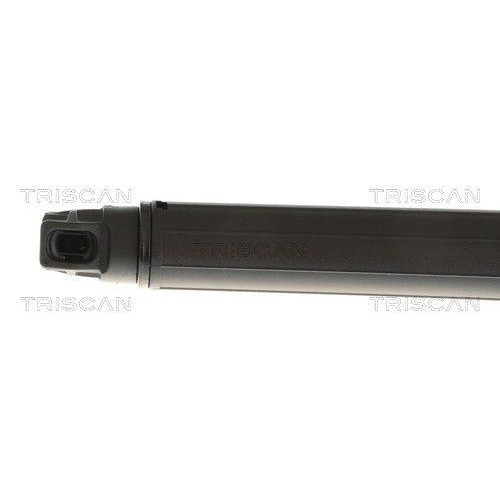 TRISCAN Gasfeder, Koffer-/Laderaum 8710 292098