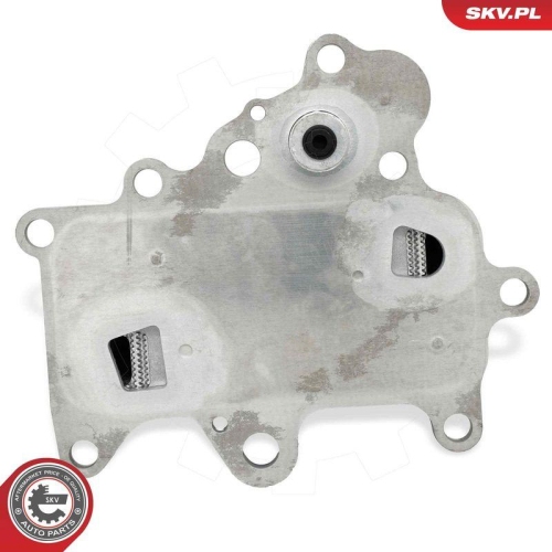 ESEN SKV &Ouml;lk&uuml;hler, Motor&ouml;l 31SKV351