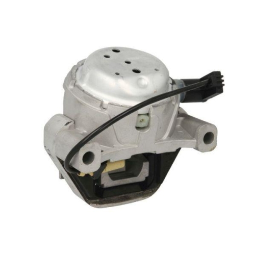 REINHOCH Lagerung, Motor RH11-0163