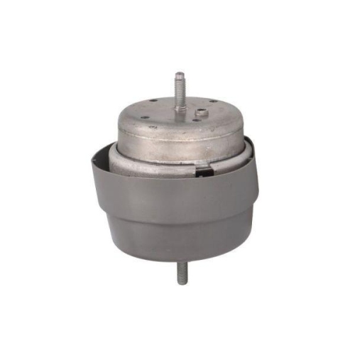 REINHOCH Lagerung, Motor RH11-0159