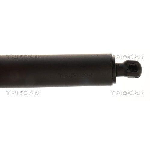 TRISCAN Gasfeder, Koffer-/Laderaum 8710 292099