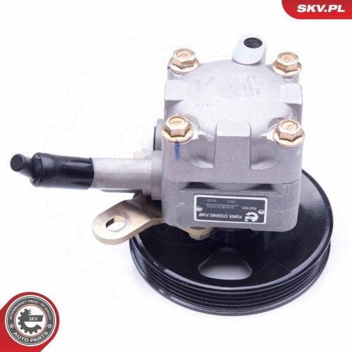 ESEN SKV Hydraulikpumpe, Lenkung 10SKV276