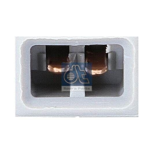 DT Spare Parts Einstiegsleuchte 3.32110