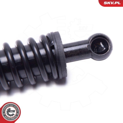 ESEN SKV Elektromotor, Heckklappe 52SKV949