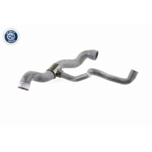 VAICO Kühlerschlauch Q+, Erstausrüsterqualität V30-1660