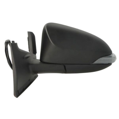 BLIC Außenspiegel 5402-19-1491318P